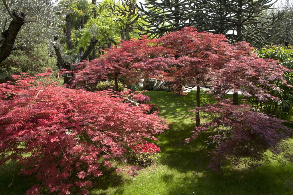 Abano Grand Hotel Abano Terme Luaran gambar